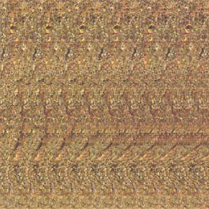 Valley of Wolves 11x14 3D RDS Random Dot poster